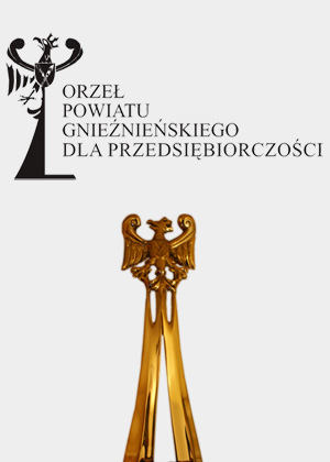 Orzeł Przedsiębiorczości w Powiecie Gnieźnieńskim 2013